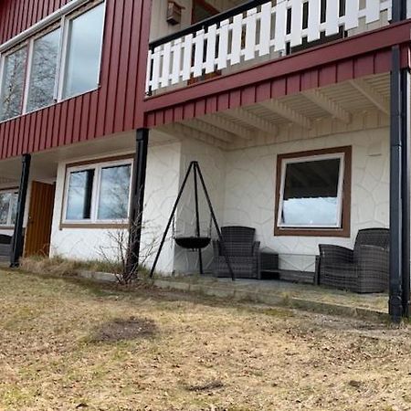 Bed And Breakfast Nordic Horn Brostadbotn Exteriör bild