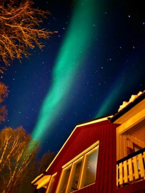 Bed And Breakfast Nordic Horn Brostadbotn Exteriör bild